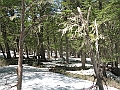 Patagonie 417